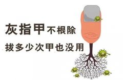 ƻָҪǮ